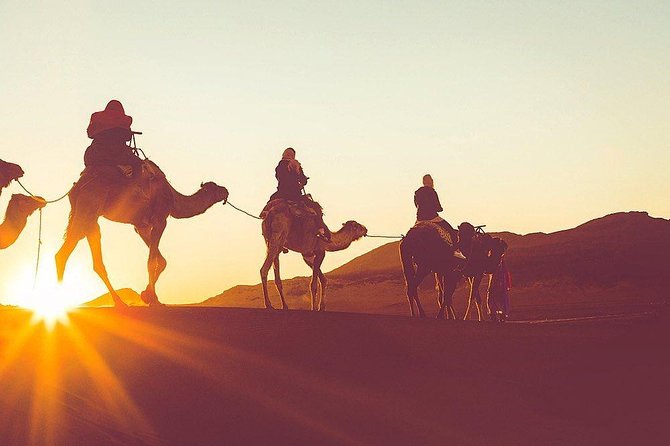 Luxury Overnight Sahara Desert trip fez Back to Fez or Marrakech - A night in the Berber tent camp
