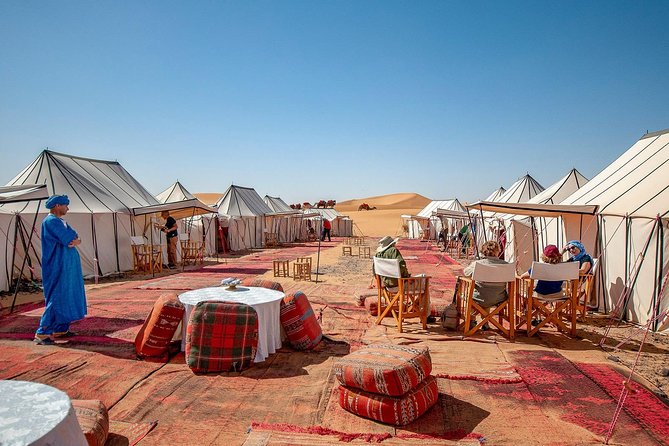 Luxury Overnight Sahara Desert trip fez Back to Fez or Marrakech - Azrou and the cedar-country stop