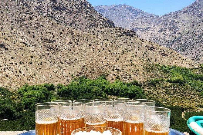 Luxury private day trip - Atlas Mountains, Agafay Desert & camels - Crossing the Agafay Desert by camel and 4x4