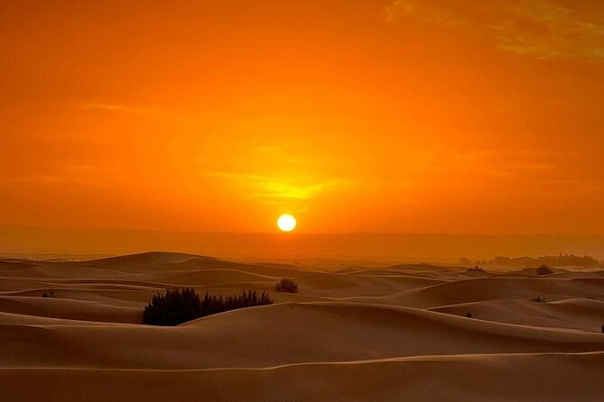 Luxury Sahara Desert From Fez back to fez or marrakech overnight - Guides, drivers, and the human side of the trip