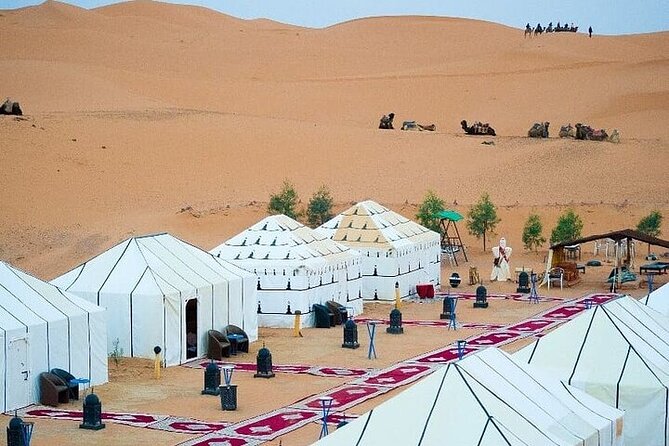 Luxury Sahara Desert From Fez back to fez or marrakech overnight - Azrou Cedar Forest and the Barbary macaques