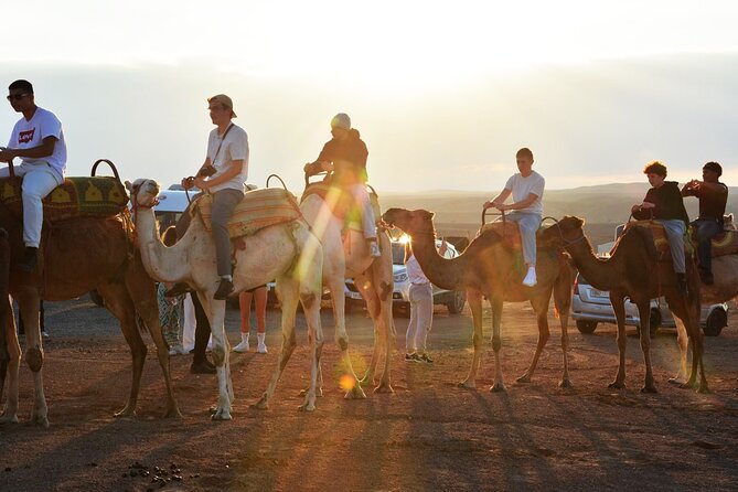 Magical Dinner Experience & Sunset Camel Ride in Marrakech Desert - Pool time and optional desert activities