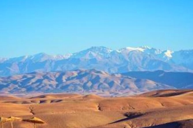Magical Dinner show and Quad bike In Agafay Desert Marrakech - What the price really offers