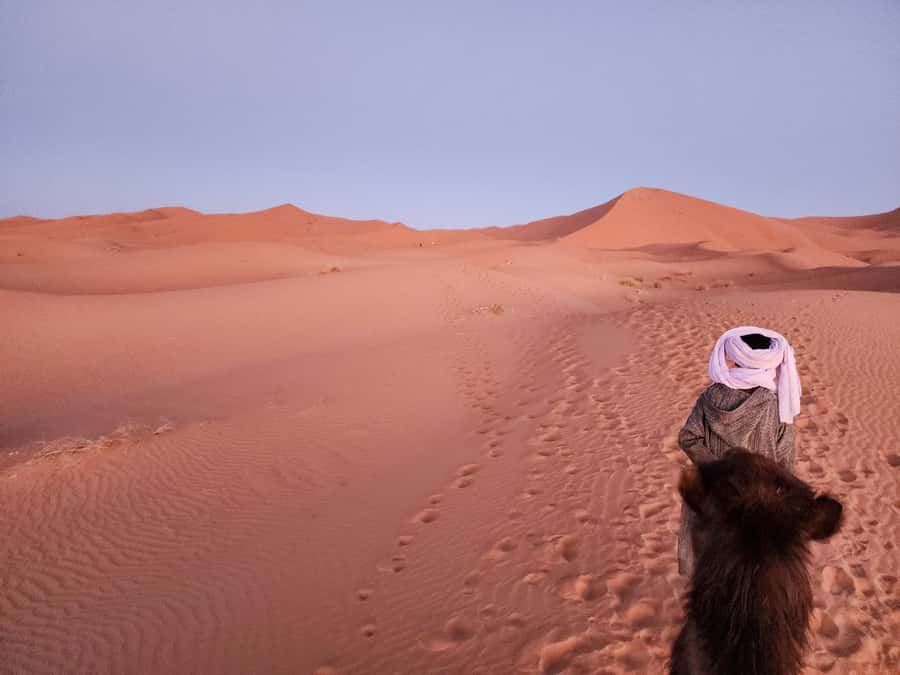 Majestic Desert: 3-Day Luxury Journey from Marrakech to Fes - The Big Picture: A Road Trip With a Desert Finale