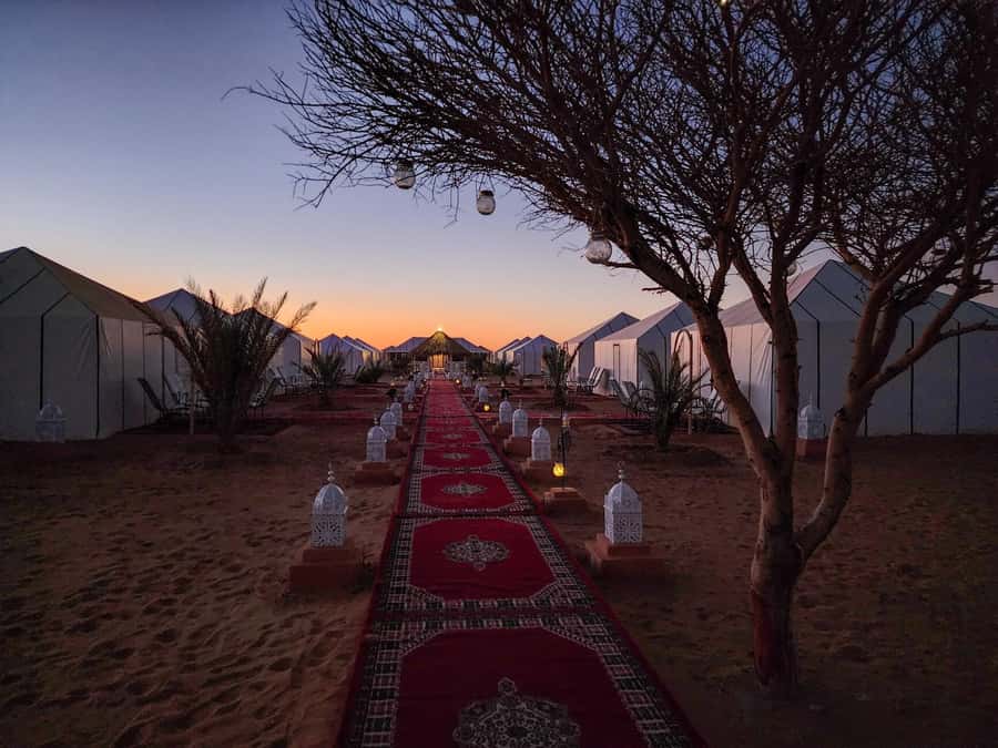Majestic Desert: 3-Day Luxury Journey from Marrakech to Fes - Should You Book the Marrakech to Fes Desert Journey?