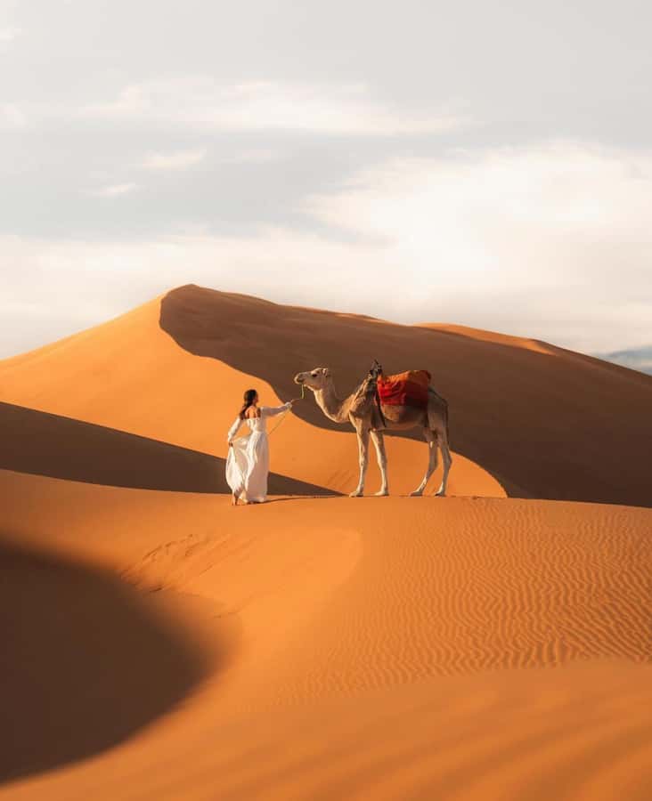 Majestic Desert: 3-Day Luxury Journey from Marrakech to Fes - Day One: High Atlas Views and Ait Ben Haddou