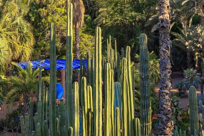 Majorelle Garden, St Laurent and Berber Museum Round Trip Ticket - What the $63.88 price really buys