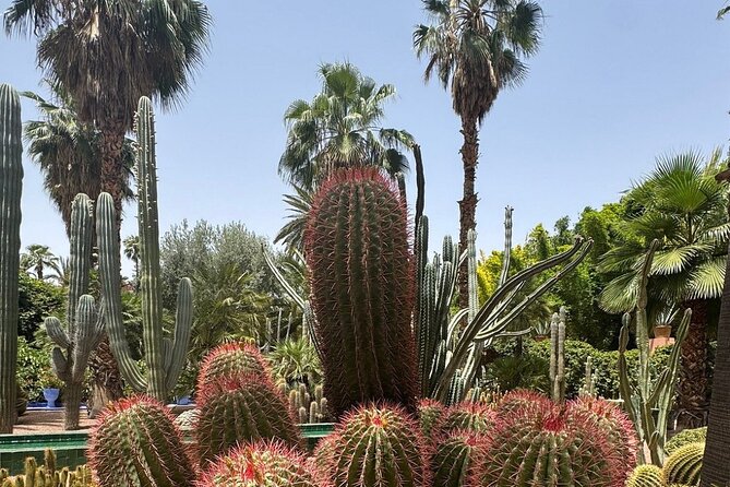 Majorelle Garden, St Laurent and Berber Museum Round Trip Ticket - Timing your visit without a rushed museum stop