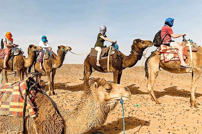 Marrakech: 1 Day Tour-Best of the Atlas Mountains &Three Valleys - The Berber market on Tuesdays and Saturdays