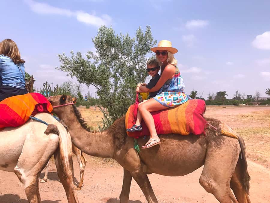 Marrakech : 1-Hour Camel Ride Through the Palm Grove - What this camel ride really offers