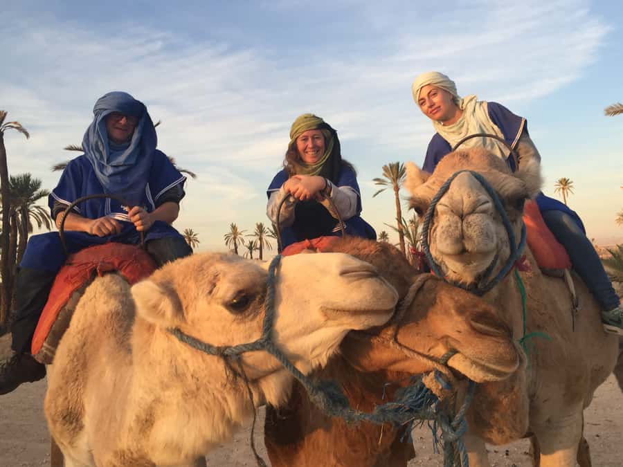 Marrakech : 1-Hour Camel Ride Through the Palm Grove - Guides, handlers, and the human side