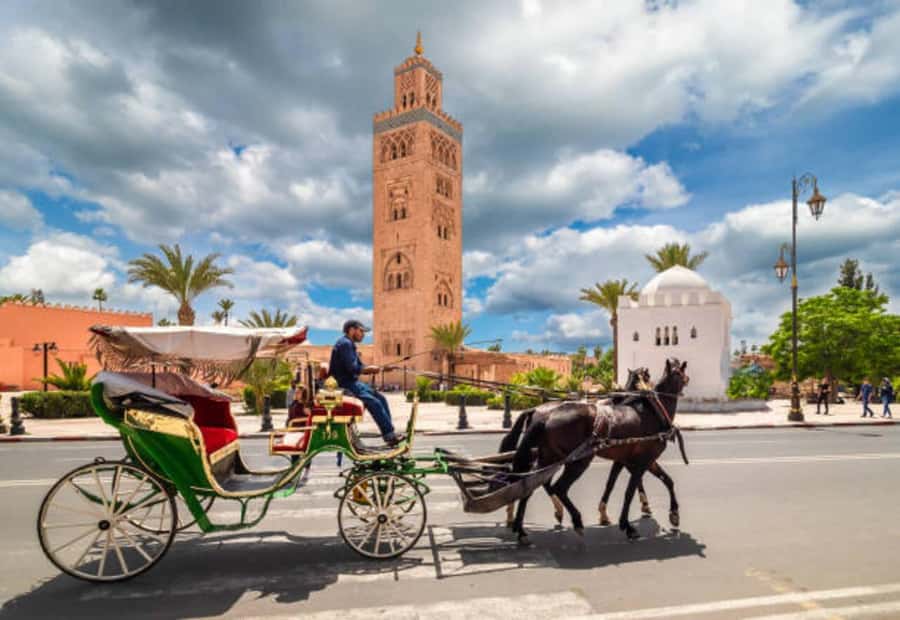 Marrakech: 1-Hour Traditional Horse-Drawn Carriage Tour - What This Marrakech Carriage Ride Really Feels Like