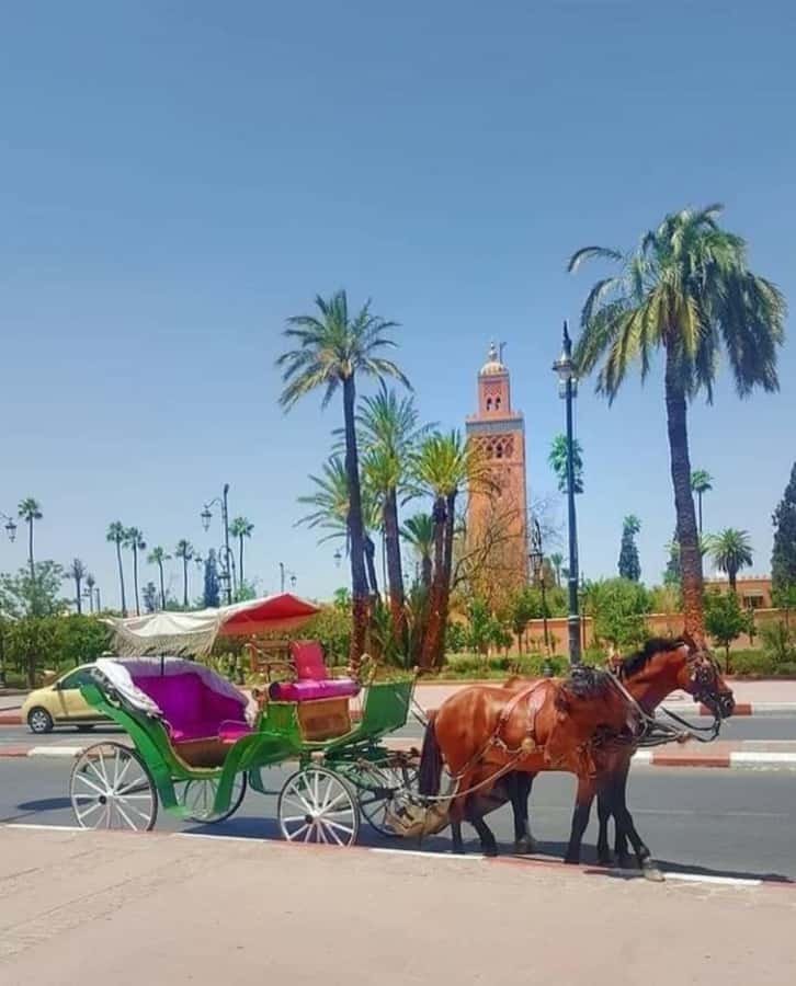 Marrakech: 1-Hour Traditional Horse-Drawn Carriage Tour - How to prepare for a smoother outing