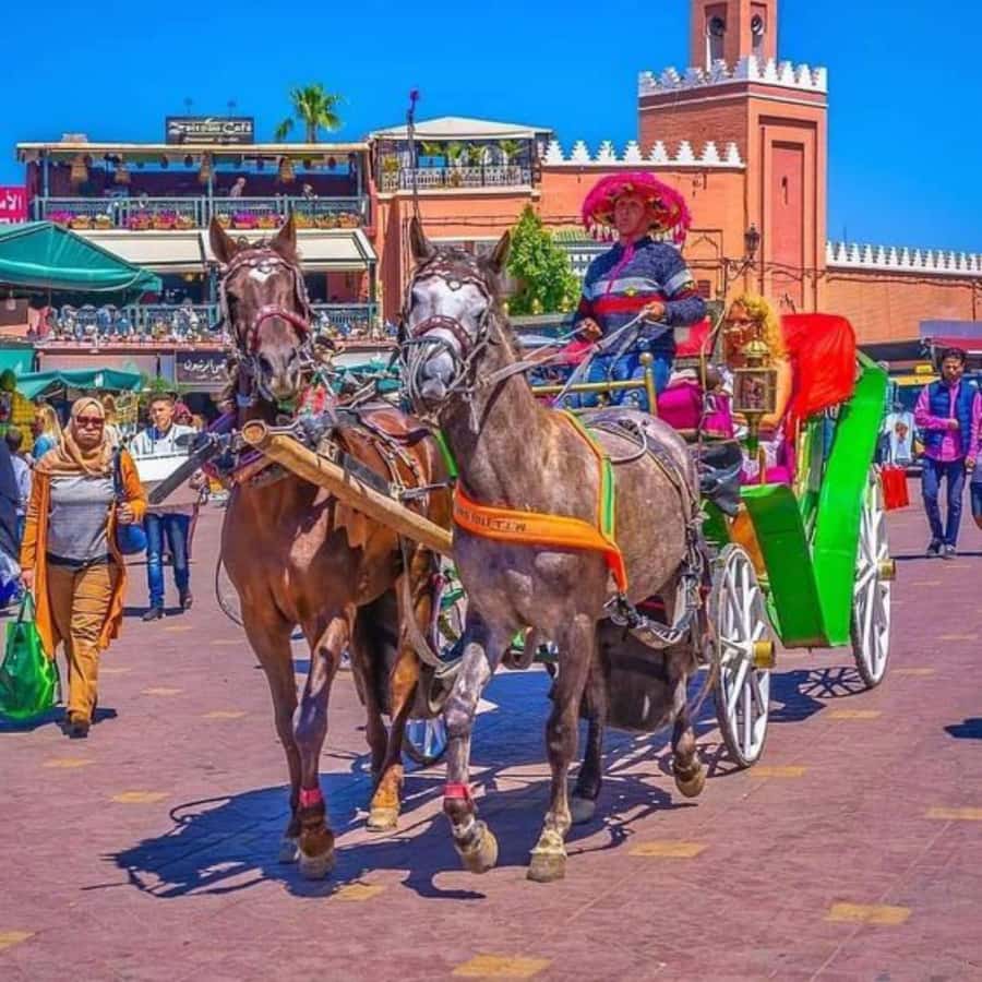 Marrakech: 1-Hour Traditional Horse-Drawn Carriage Tour - Leaving Marrakesh for a Traditional Ride