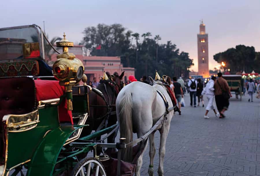 Marrakech: 1-Hour Traditional Horse-Drawn Carriage Tour - Medina Walls, Gates, and the Red City’s Changing Face
