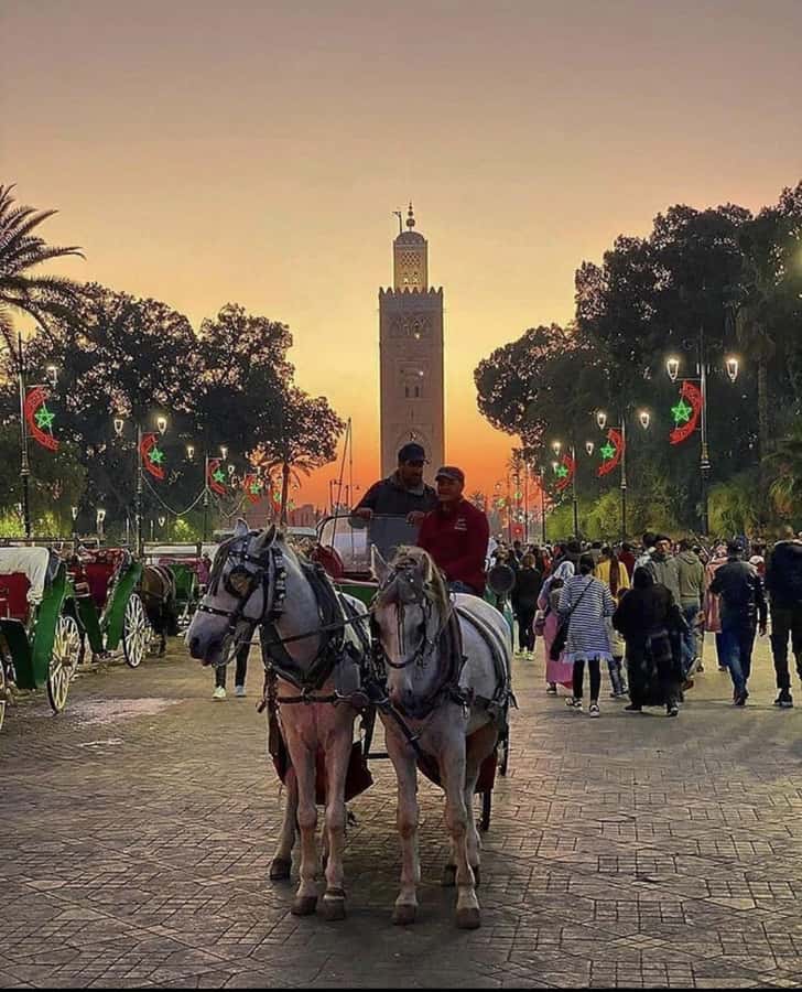 Marrakech: 1-Hour Traditional Horse-Drawn Carriage Tour - Guides Omar, Mohamed, and the Human Side of the Tour