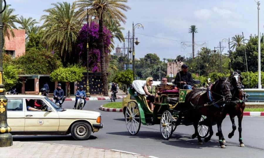 Marrakech: 1-Hour Traditional Horse-Drawn Carriage Tour - Who Will Enjoy This More Than a Walking Tour?