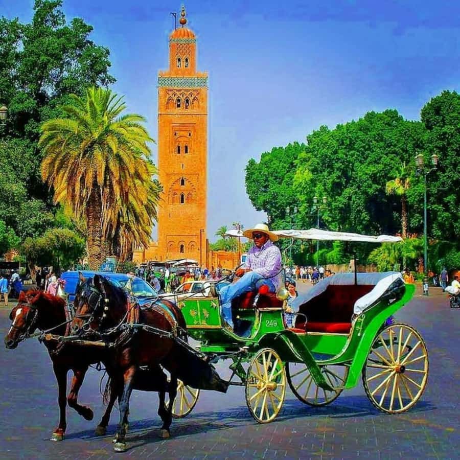 Marrakech: 1-Hour Traditional Horse-Drawn Carriage Tour - Guide quality and family appeal