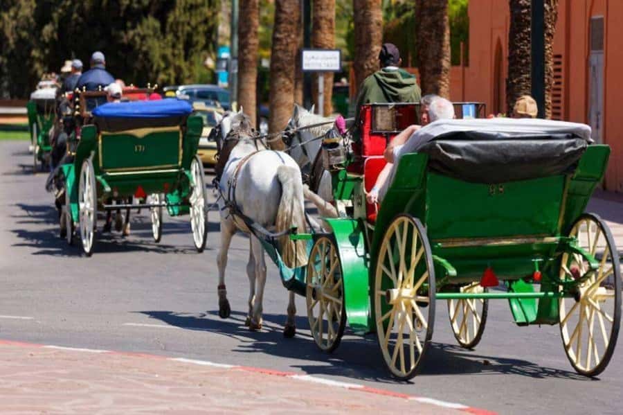 Marrakech: 1-Hour Traditional Horse-Drawn Carriage Tour - Setting out from the hotel or meeting point