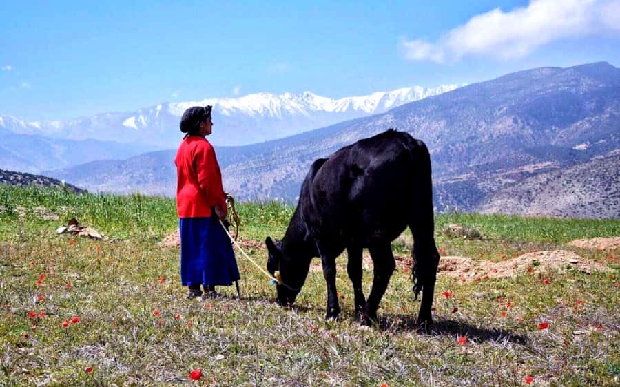 Marrakech: 2-Day Atlas Villages Trekking Tour - Key points at a glance