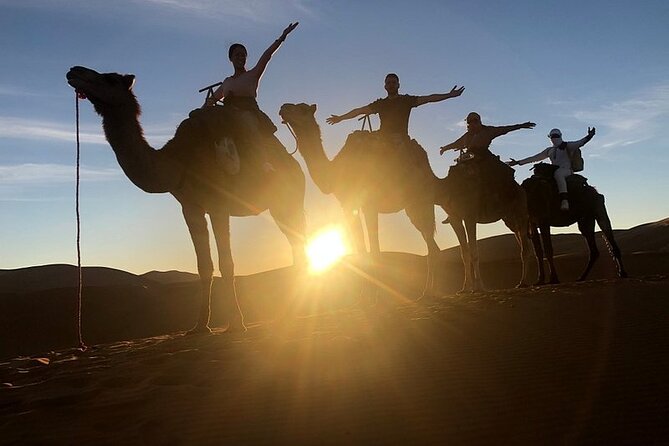Marrakech: 2 Days tour to Sahara Zagora Desert & Ait-BenHaddou - The sunset camel ride to the desert camp