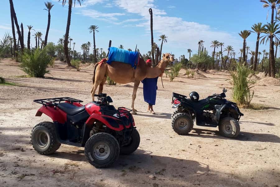 Marrakech: 2-Hour Quad Bike & Camel Ride in Palmeraie - The best parts of this Palmeraie outing