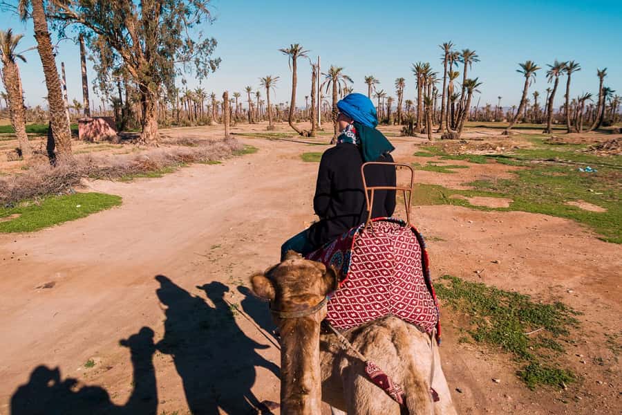Marrakech: 2-Hour Quad Bike & Camel Ride in Palmeraie - Camel riding in the Palmeraie