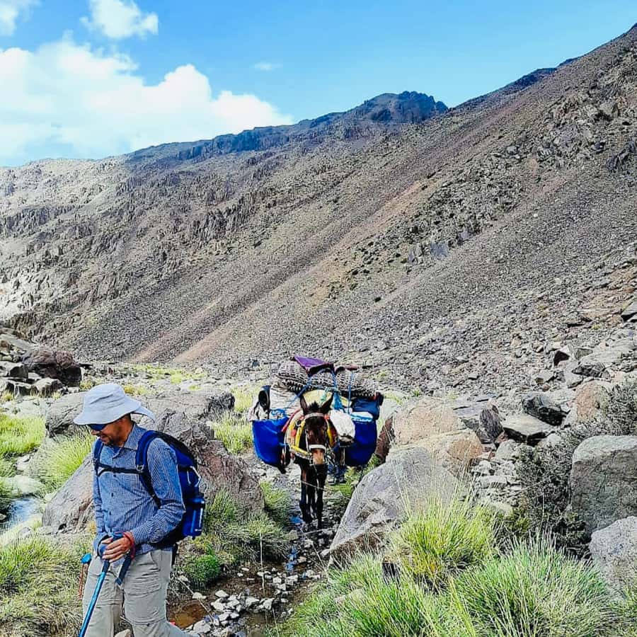 Marrakech: 3-Day Atlas Mountains Berber Villages Trek - Day three: the Azib Tamsoulte waterfall and Mzik Pass
