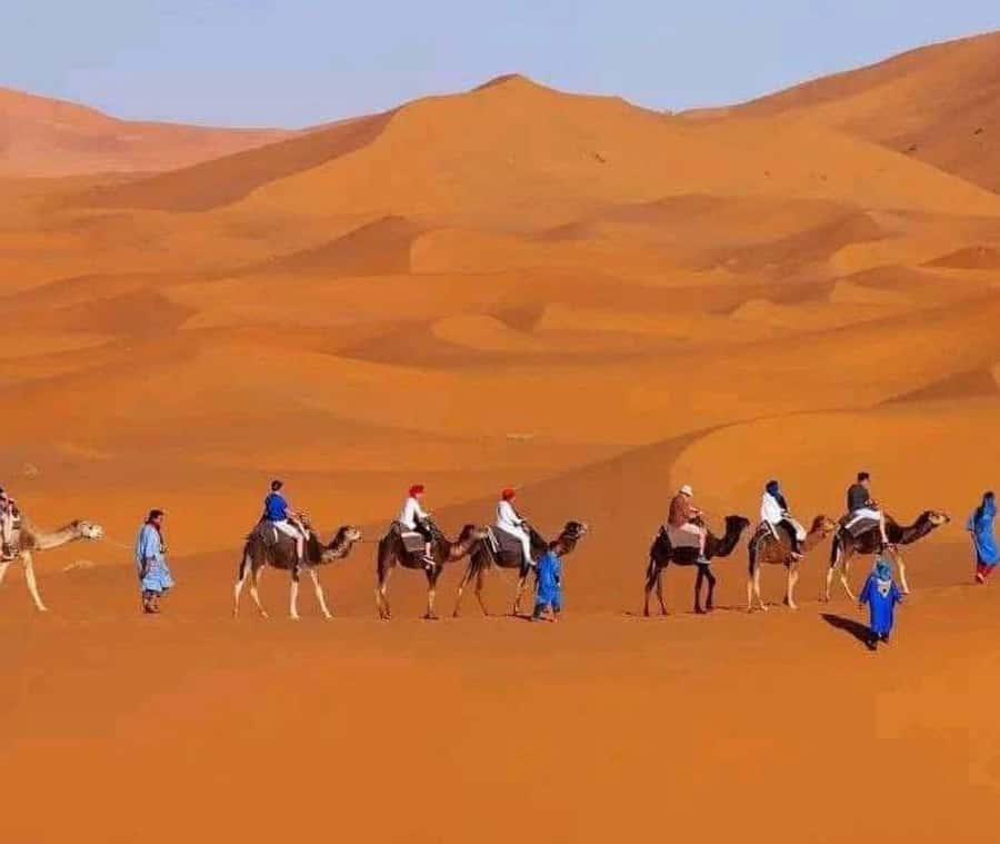 Marrakech: 3-day Exclusive Desert Luxury Tour; Quad & Camels - The Erg Chebbi camel ride is the main event