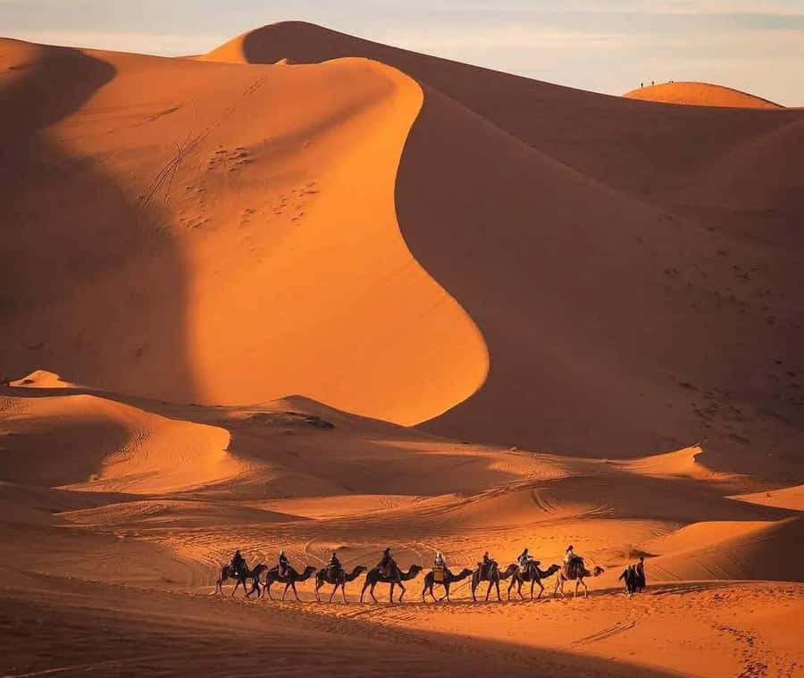 Marrakech: 3-day Exclusive Desert Luxury Tour; Quad & Camels - Sunrise, breakfast, and the long return to Marrakech