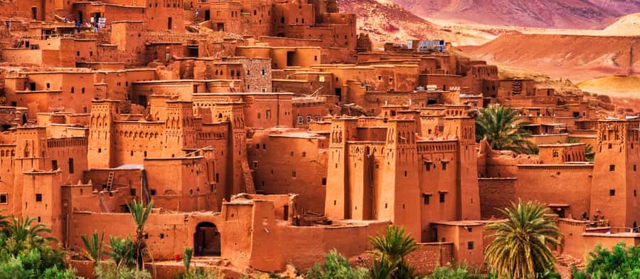 Marrakech: 3-day Exclusive Desert Luxury Tour; Quad & Camels - Guides, drivers, and group comfort