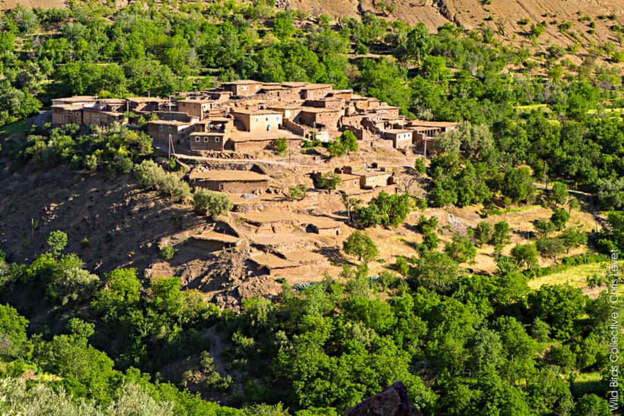 Marrakech: 3-Day High Atlas Mountains and Three Valleys Trek - Key points to know before you book