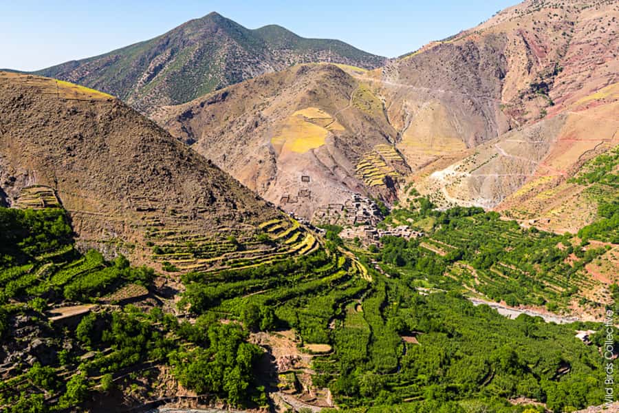 Marrakech: 3-Day High Atlas Mountains and Three Valleys Trek - What the guiding is really worth