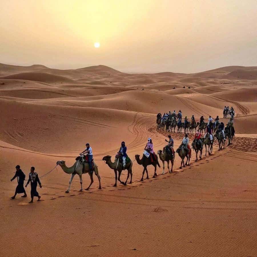 Marrakech: 3-Day Luxurious Desert Tour to Fes via Merzouga. - Why this route works so well