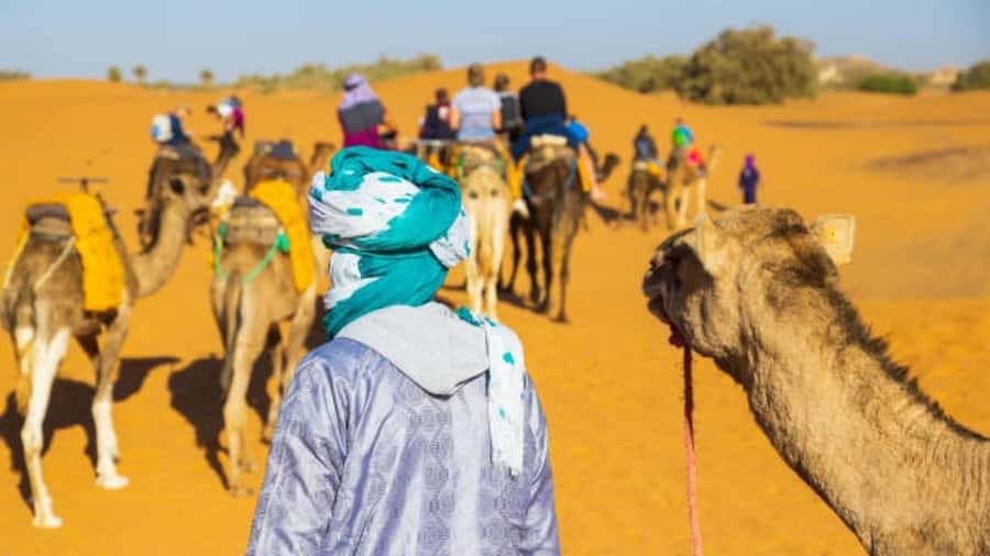 Marrakech: 3-Day Luxurious Desert Tour to Fes via Merzouga. - Day 3: Sunrise, fossils, cedar forests, and Fes