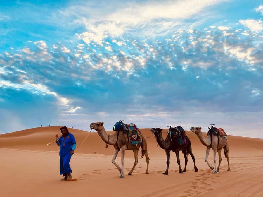 Marrakech: 3-Day Merzouga Desert Tour Camel & Sandboarding - Small details that make the trip easier
