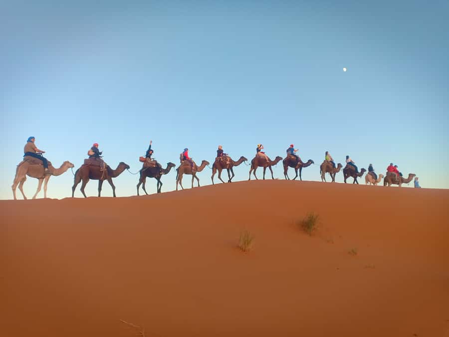 Marrakech: 3-Day Merzouga Sahara Desert Tour with Quad Ride - What this three-day Morocco tour is really like