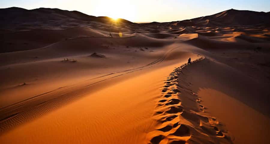 Marrakech: 3-Day Trip to Fez with Sandboarding & Camel Ride - Day three: Sunrise, Erfoud, and the road north
