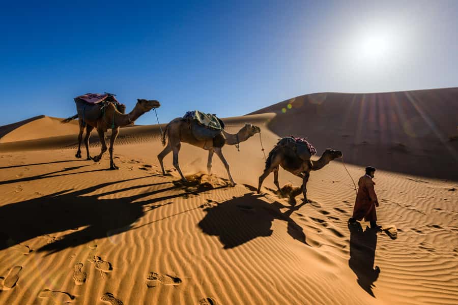 Marrakech: 3-Day Trip to Fez with Sandboarding & Camel Ride - Guides, group atmosphere, and daily comfort