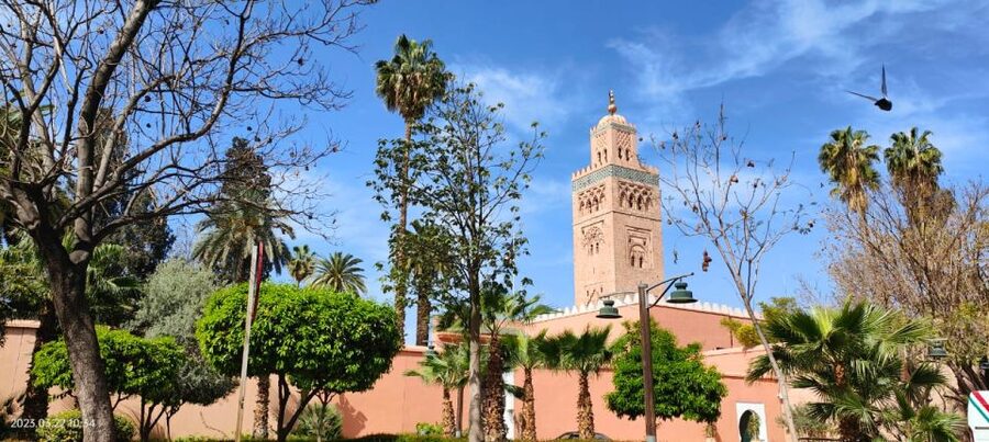 Marrakech 3-Hour Walking Tour - Starting at Koutoubia Mosque