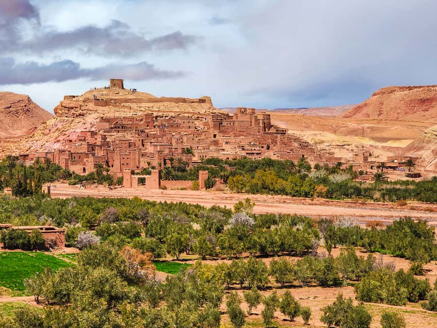 Marrakech: 3Day Luxurious Merzouga Tour w/ Camel&Quad Option - Guides, drivers, and the group experience