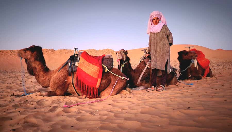 Marrakech: 3Day Luxurious Merzouga Tour w/ Camel&Quad Option - Should you book this Merzouga tour?