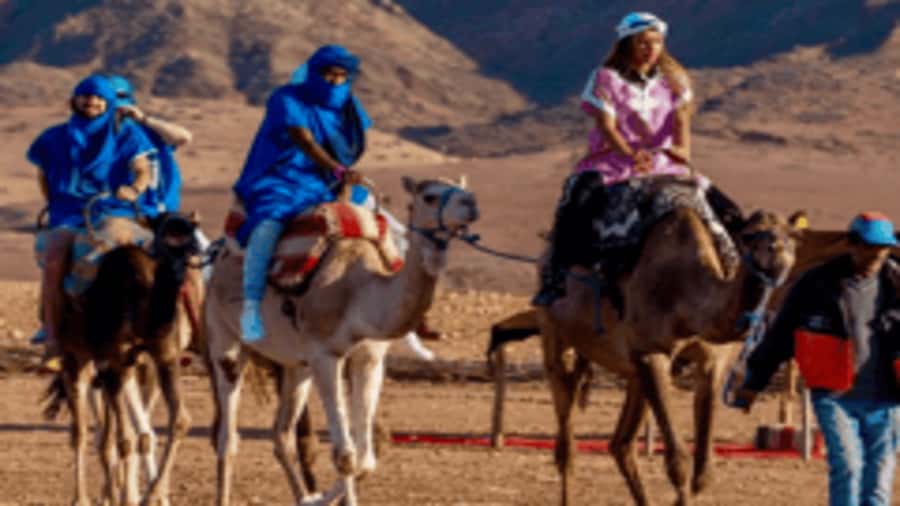 Marrakech Adventure: Paragliding, Camel Ride & Breakfast - Key points to know before booking