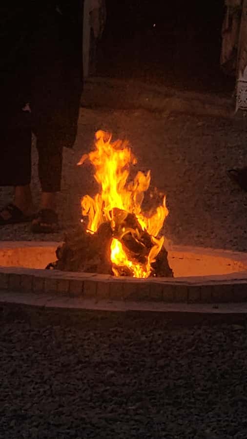 Marrakech: Agafay Camel Ride & Dinner with Fire Show Tour - Families, couples, and first-time visitors