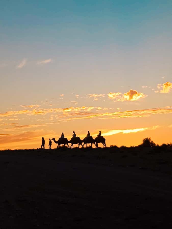 Marrakech: Agafay Camel Ride & Dinner with Fire Show Tour - A short camel ride with strong sunset views