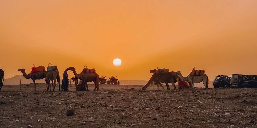 Marrakech: Agafay Camel Ride & Dinner with Fire Show Tour - Guides make a real difference