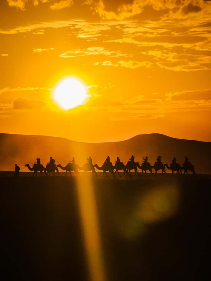 Marrakech: Agafay Camel Ride & Dinner with Fire Show Tour - The argan oil stop adds local context
