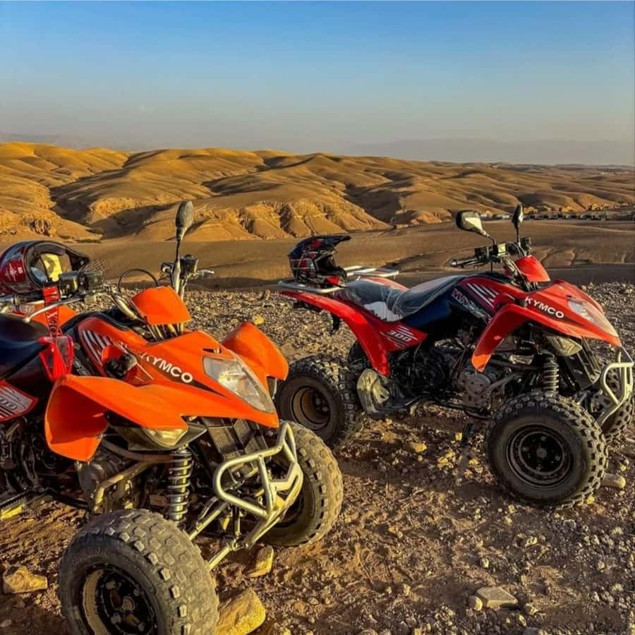 Marrakech: Agafay Desert Camel, Quad Bike & Dinner Show - Gnawa music, dancing, and fire