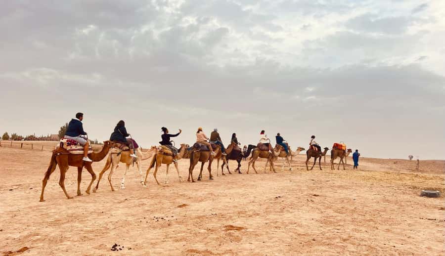 Marrakech: Agafay Desert Camel Ride, Dinner, Fire Show - Guides are the strongest part of the operation