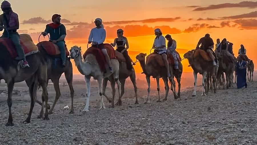 Marrakech: Agafay Desert: Camel ride Quad Bike, Dinner show - How much value do you get for $19?